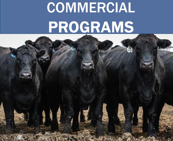 Commercial Services